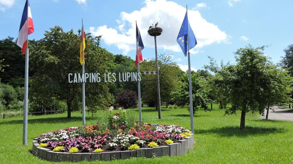 Camping Les Lupins Seppois-le-Bas 외부 사진